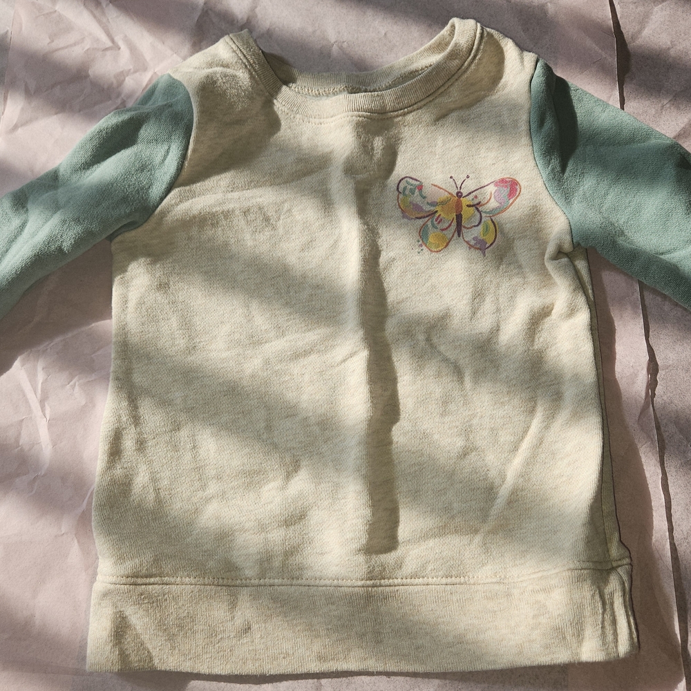 Kids Butterfly Graphic Sweatshirt - Cream and Green